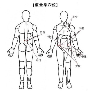 针灸减肥