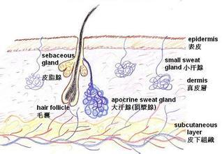 吉林市去腋臭,去腋臭哪里好